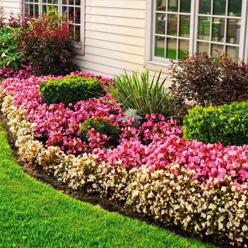 FLOWER-BEDS