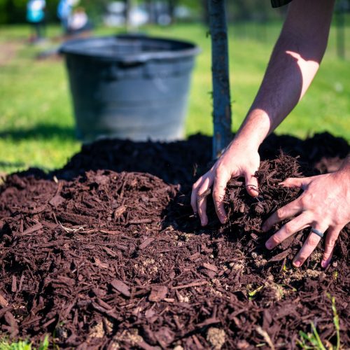 Mulching2